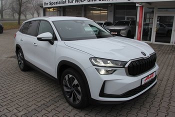 Skoda Kodiaq 2.0 TDI DSG Selection LED Sitzheizung Kamera ALU 19 ZOLL