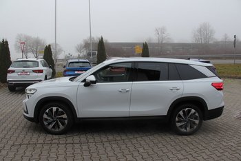Skoda Kodiaq 2.0 TDI DSG Selection LED Sitzheizung Kamera ALU 19 ZOLL