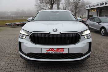 Skoda Kodiaq 2.0 TDI DSG Selection LED Sitzheizung Kamera ALU 19 ZOLL