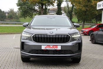 Skoda Kodiaq 2.0 TDI 150PS 7 SITZE LED Sitzheizung Kamera 19 ZOLL