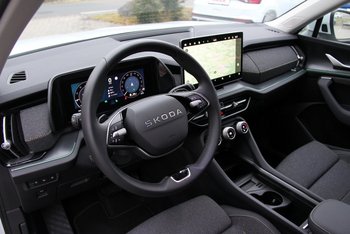 Skoda Kodiaq 2.0 TDI DSG Selection LED Sitzheizung Kamera ALU 19 ZOLL